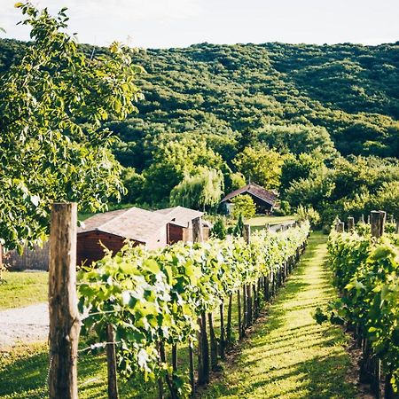 Bed and Breakfast Dutch Hill Zalacsány Zewnętrze zdjęcie