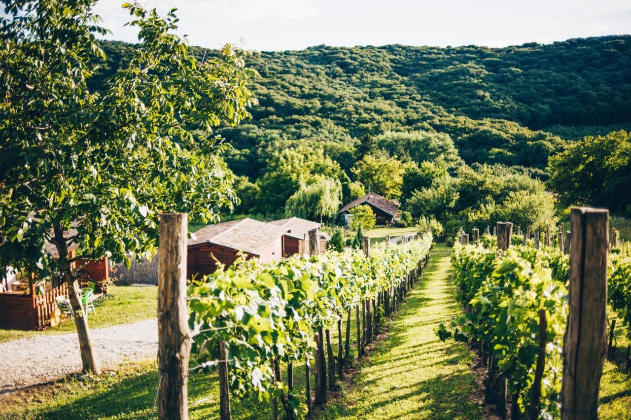 Bed and Breakfast Dutch Hill Zalacsány Zewnętrze zdjęcie