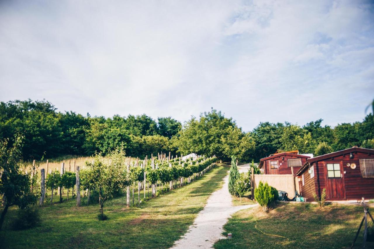 Bed and Breakfast Dutch Hill Zalacsány Zewnętrze zdjęcie